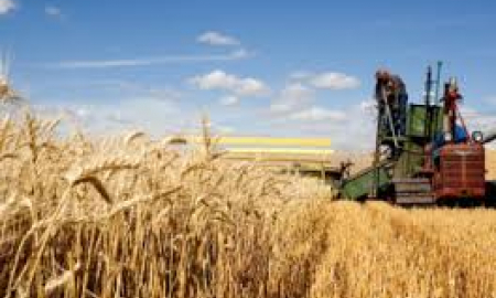 Семінар-нарада "Орбіта нових можливостей для аграріїв. Приватні ініціативи. Досвід та вдала практика"