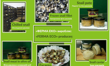 Пропозиція щодо партнерства!